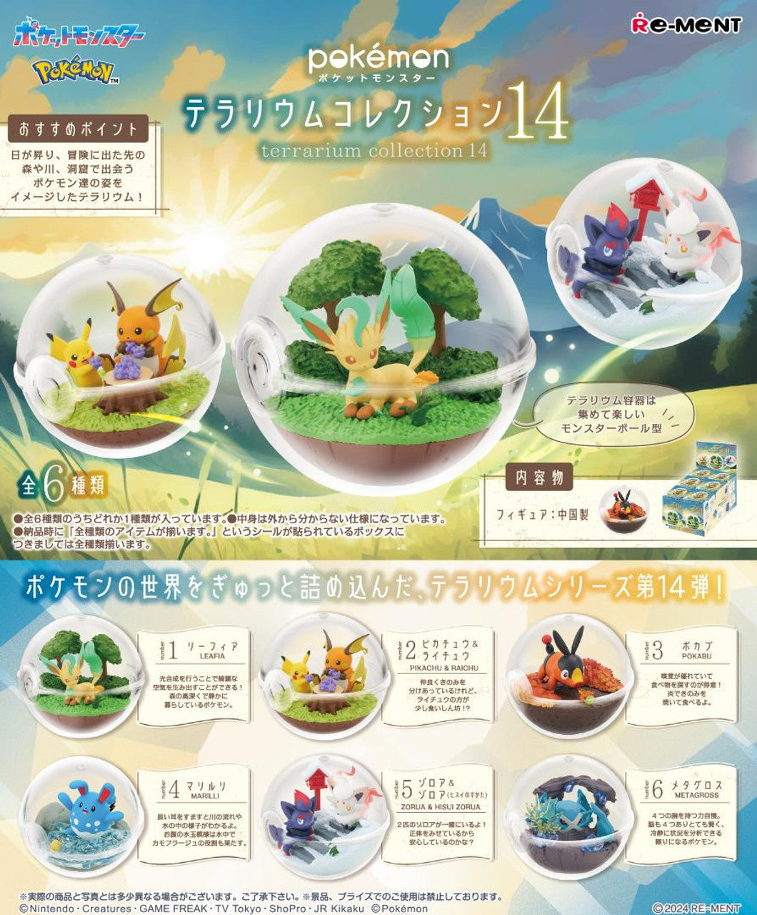 Terrarium Collection 14 Sealed Case